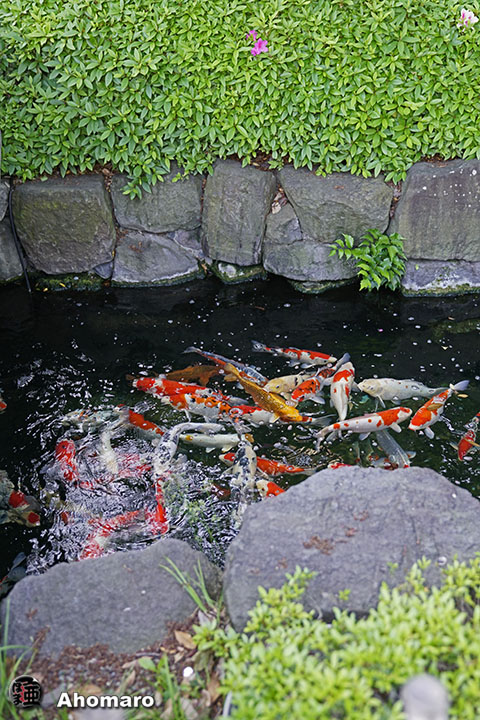 写真00