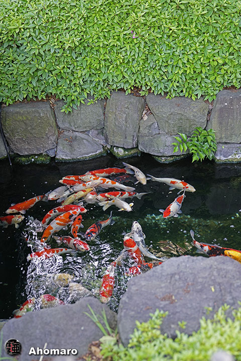 写真00