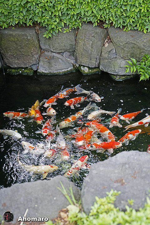 写真00
