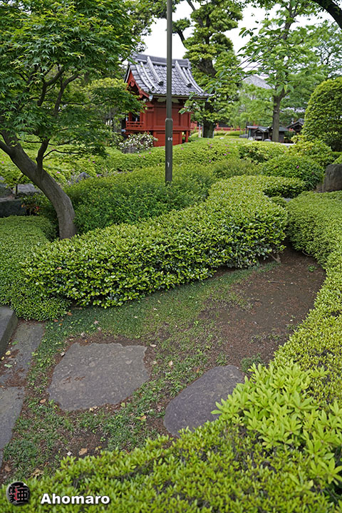 写真00