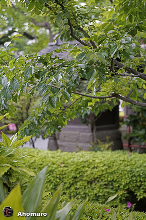写真00
