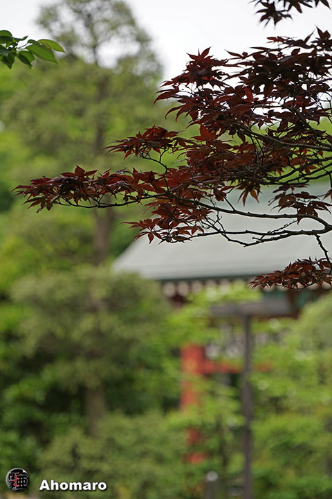 写真00