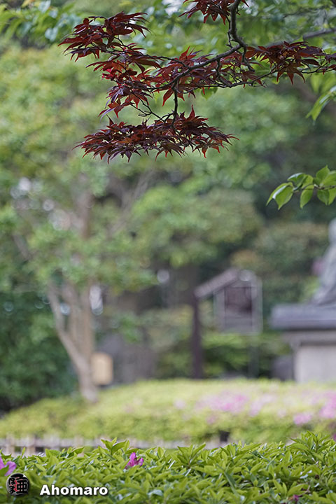 写真00