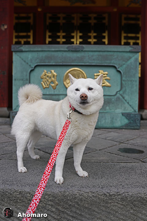ʐ^00