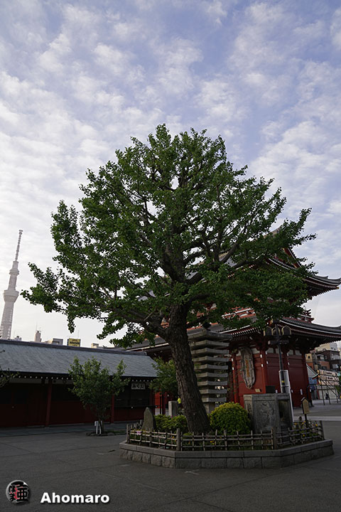 写真00