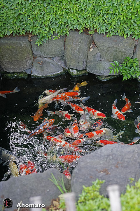 写真00