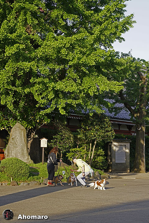 写真00