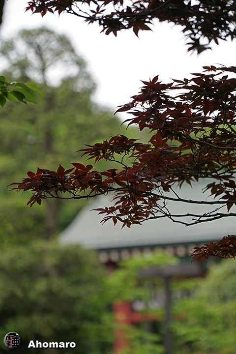 写真00