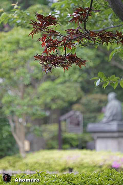 写真00