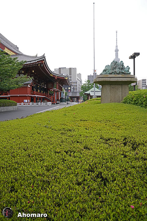 写真00