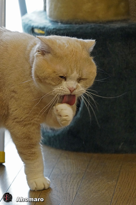 写真00