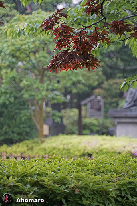 写真00