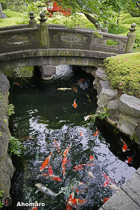 写真00