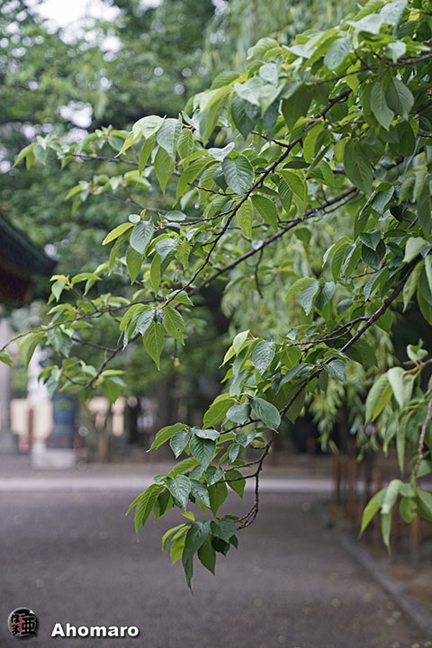 写真00