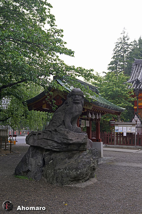 写真00