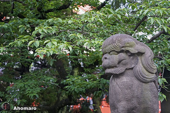 写真00