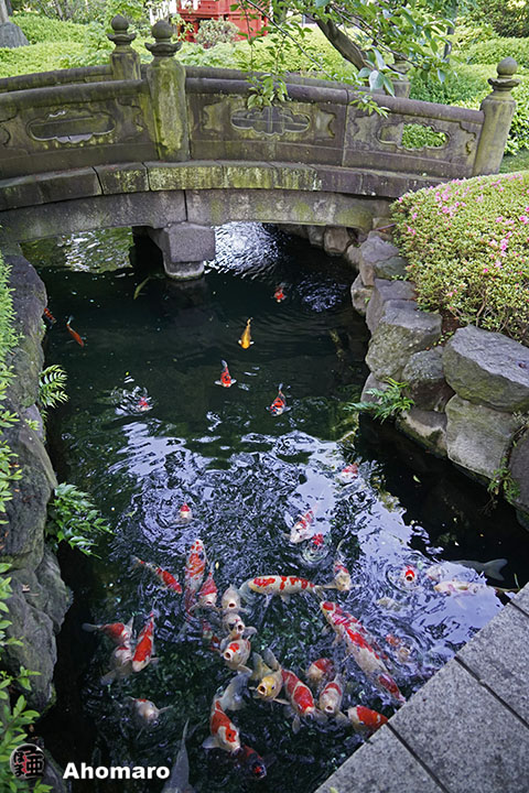 写真00