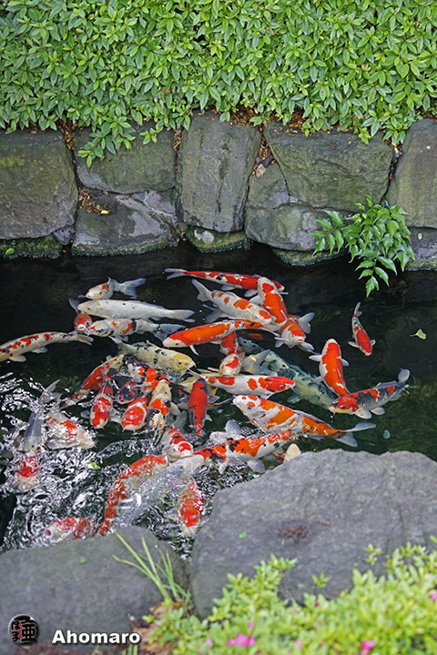写真00