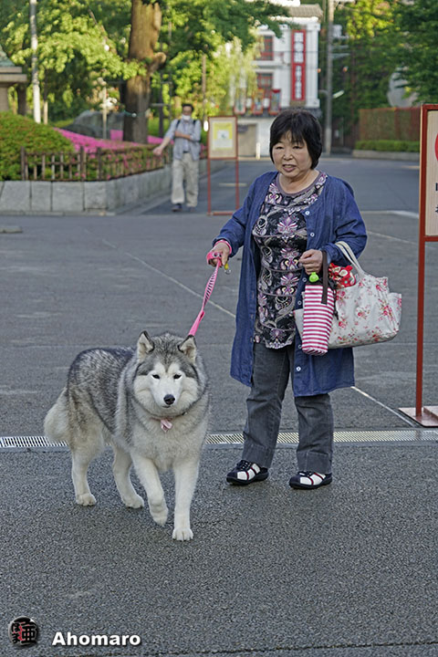写真00