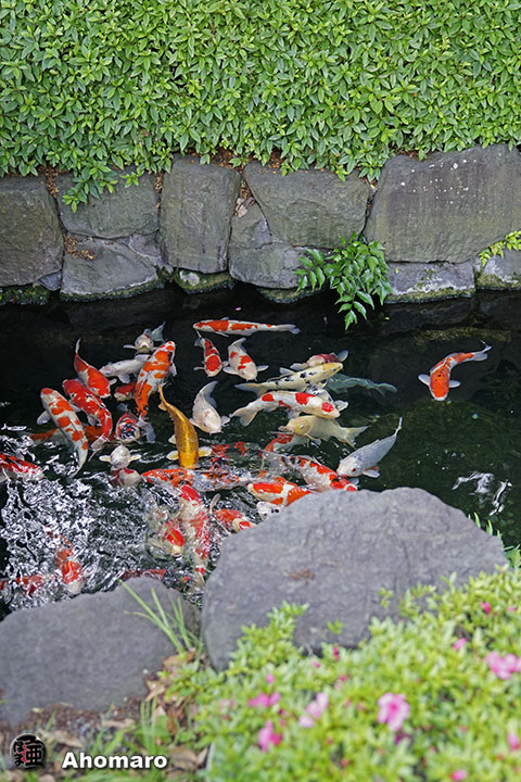 写真00