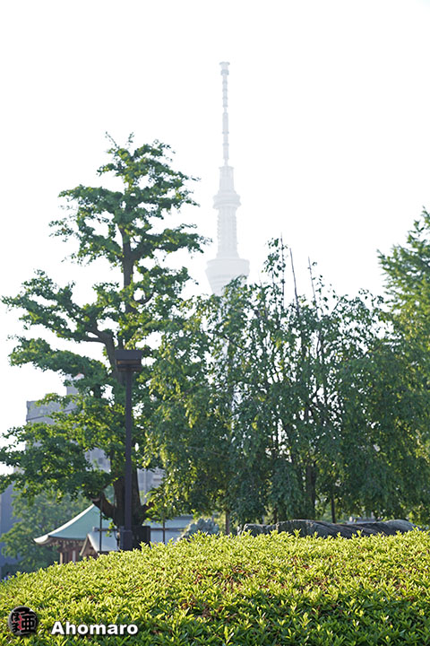 写真00