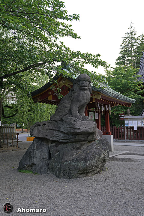 写真00