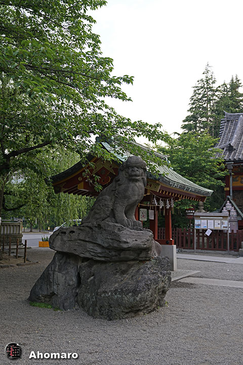 写真00