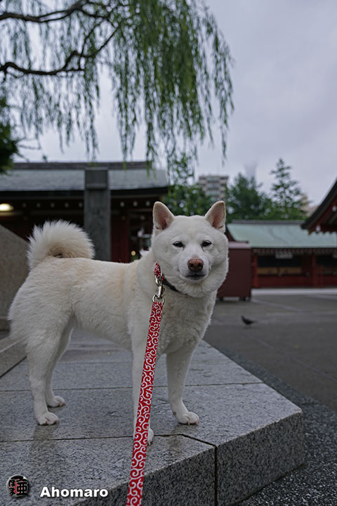 写真00