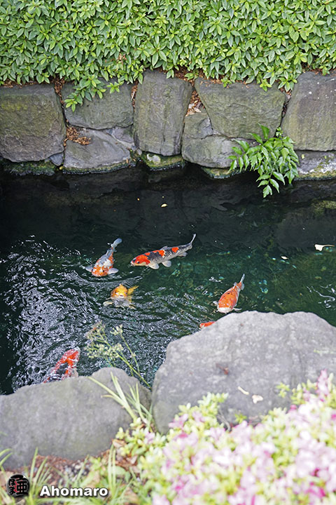 写真00