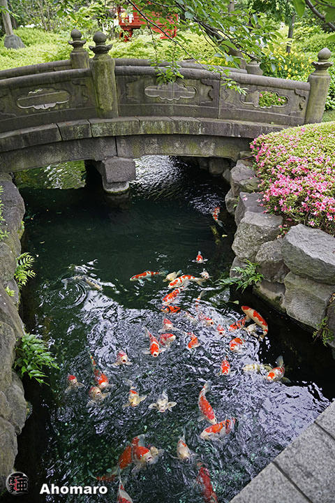 写真00