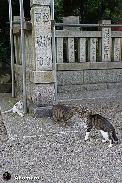 写真00
