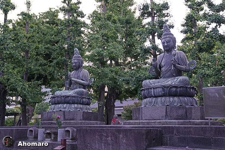 写真00