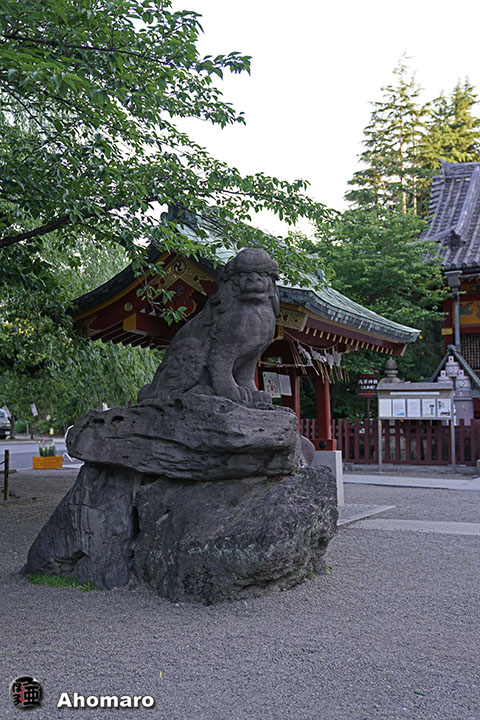 写真00
