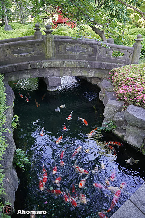 写真00