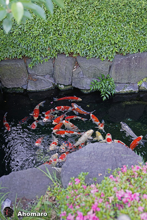 写真00