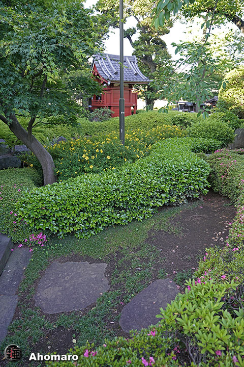 写真00