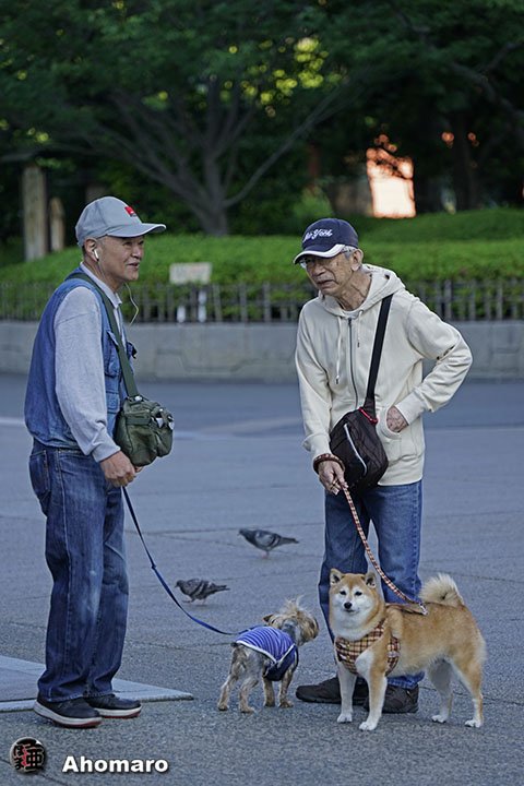 写真00
