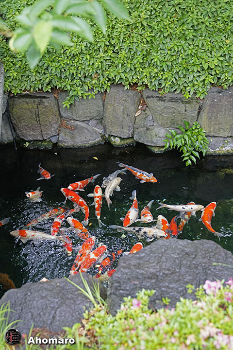 写真00