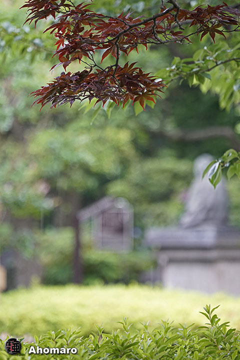 写真00
