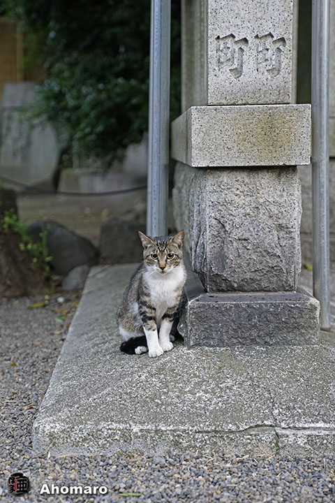 写真00