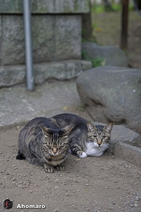 写真00