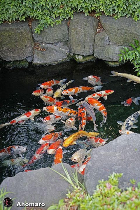 写真00
