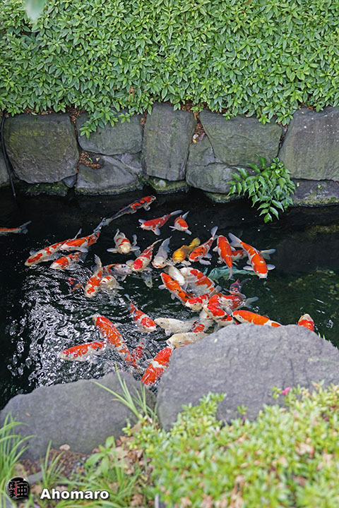 写真00