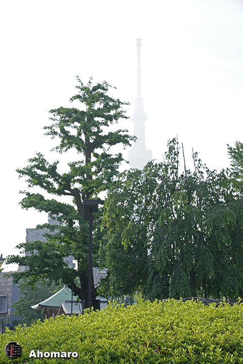 写真00