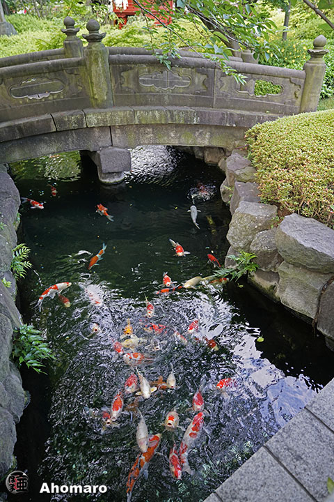 写真00