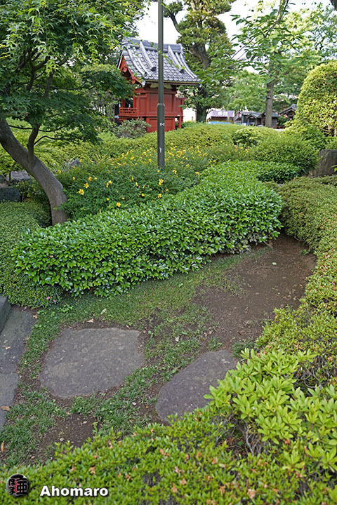 写真00