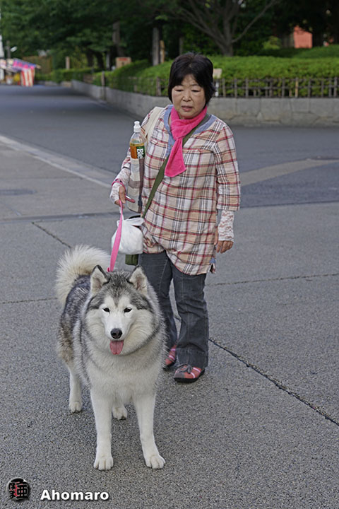 写真00