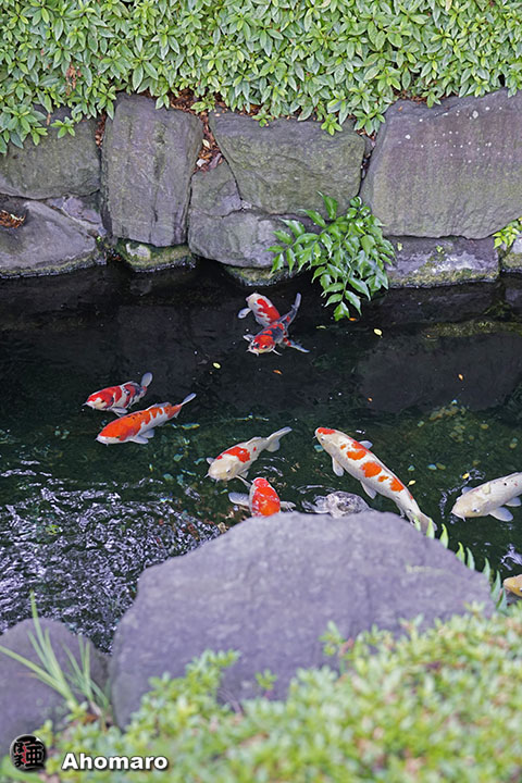 写真00