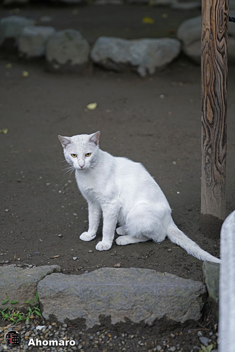 写真00