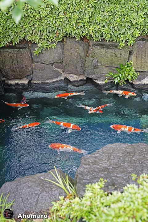 写真00